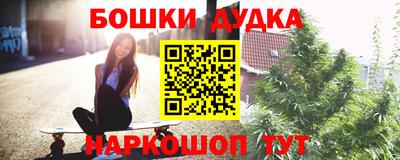 индика Пушкино