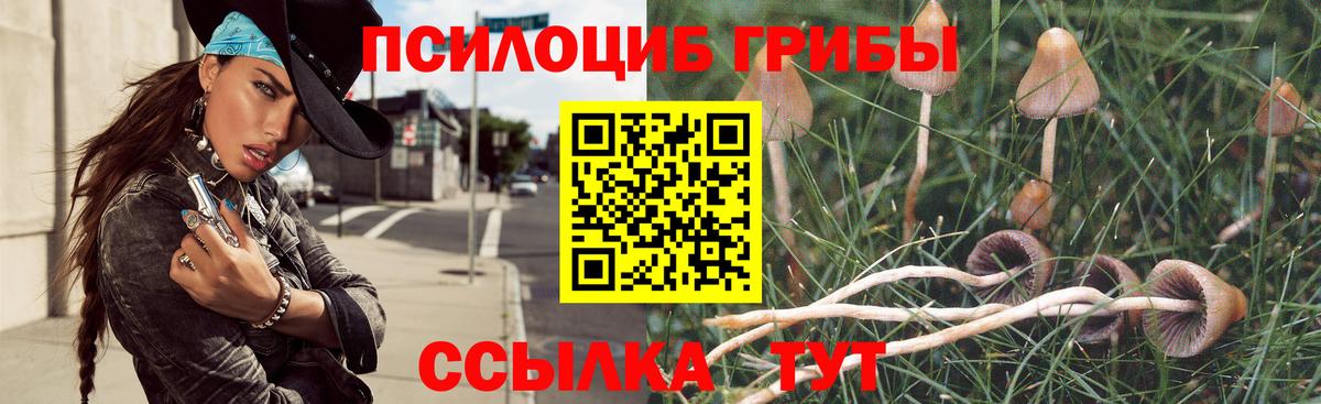 Псилоцибиновые грибы Psilocybe Трёхгорный