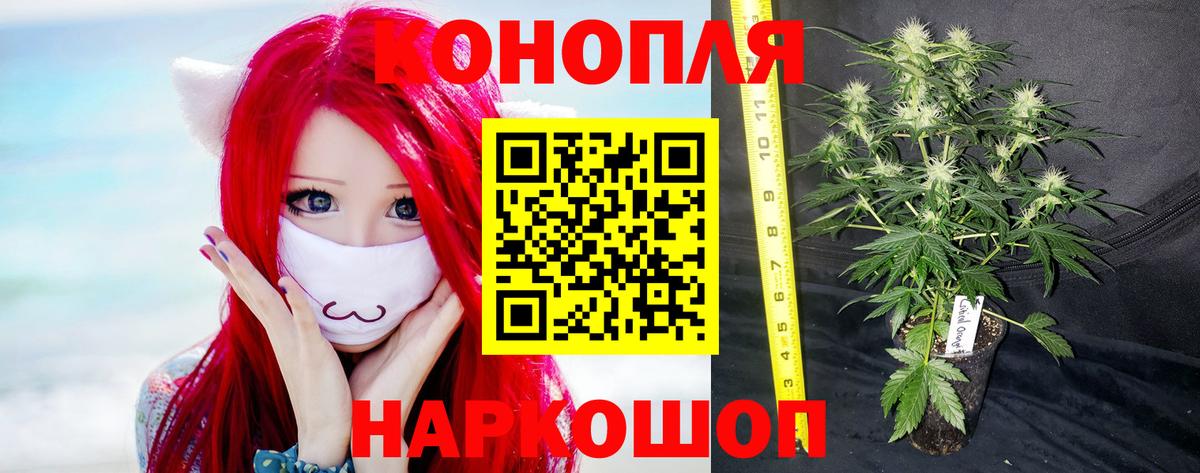 Каннабис тримм Трёхгорный